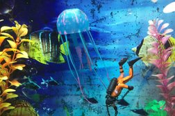 Зоомагазин Природа, с рейтингом 5 - находится по адресу Ярославль, Большая Октябрьская улица, 83 