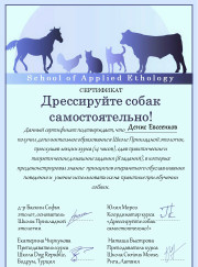 Дрессировщик, зооняня Денис Владимирович Евсеенков