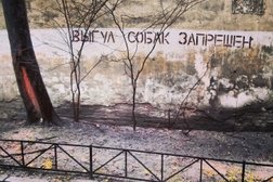Горизонт без границ, с рейтингом 4.3 - находится по адресу Санкт-Петербург, Каменноостровский проспект, 18/11 лит А 