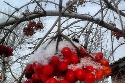 Армавирский аграрно-технологический техникум, с рейтингом 3.5 - находится по адресу Краснодарский край, Армавир, улица Володарского, 68 