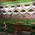 фотография Greenbox