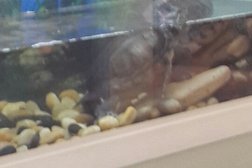 Фотосалон Русалочка, с рейтингом 3.7 - находится по адресу Великий Новгород, улица Ломоносова, 18 к1 