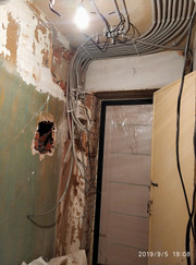 Водитель, курьер Антон Петрович Сизиков