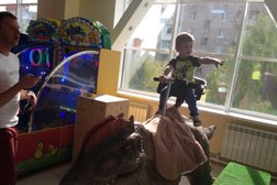 Зебра