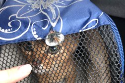 Ветеринарная клиника Аргос, с рейтингом 3 - находится по адресу Московская область, Одинцово, улица Говорова, 85 