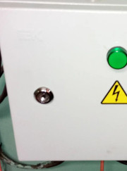 Тренер по боксу, электрик Алексей Александрович Васильев