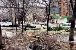 СберБанк, с рейтингом 1.5 - находится по адресу Краснодар, Северная улица, 288 