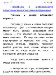 Диктор, копирайтер Светлана Сергеевна Пупонина