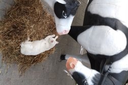 Супермаркет Риат-Маркет Западный, с рейтингом 3.3 - находится по адресу Иваново, Дюковская улица, 27 