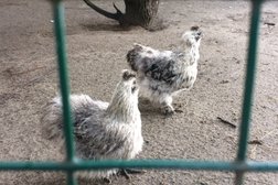 Парк-отель Фестиваль, с рейтингом 4.2 - находится по адресу Рязанская область, пос. Чулис, посёлок Чулис, 1 