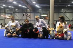 Питомник цвергшнауцеров Dreamkiss, с рейтингом 2.9 - находится по адресу Москва, Пятницкое шоссе, 38 ст1 