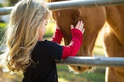 Выездная ветеринарная служба Арника, с рейтингом 3.8 - находится по адресу Краснодарский край, Анапа, улица Самбурова, 12 