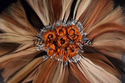 Интернет-магазин волос для наращивания Волосы 24, с рейтингом 4.1 - находится по адресу Санкт-Петербург, набережная Обводного канала, 108 лит А 