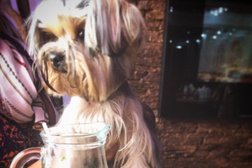 Гастробар Ина Че, с рейтингом 4.8 - находится по адресу Владивосток, Краснознамённый переулок, 4 