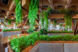 Студия интерьерного озеленения Leto HoReCa, с рейтингом 4 - находится по адресу Самарская обл, Самара, ул Советской Армии, д 180/3, офис 303 