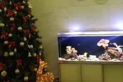 Сбербанк России, с рейтингом 2.7 - находится по адресу Москва, Соймоновский проезд, 5 