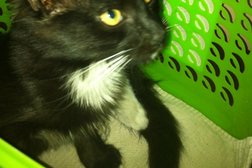 Тамбовская городская станция по борьбе с болезнями животных, с рейтингом 3.6 - находится по адресу Тамбов, проезд Монтажников, 1а 