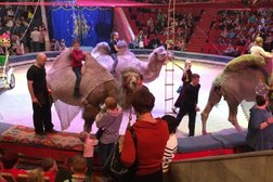 Челябинский государственный цирк, с рейтингом 1 - находится по адресу Челябинск, улица Кирова, 25 