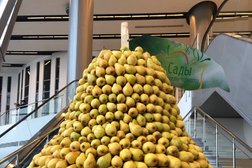 Многофункциональный выставочный центр МинводыЭкспо, с рейтингом 3 - находится по адресу Ставропольский край, х. Красный Пахарь, Автомобильная улица, 31 