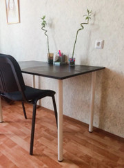 Преподаватель биологии, преподаватель химии Виктория Витальевна Лисковская