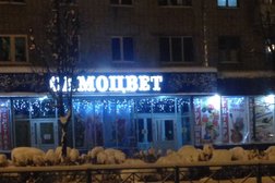 Торговый дом Самоцвет, с рейтингом 4 - находится по адресу Чувашская Республика, Новочебоксарск, улица Винокурова, 22 