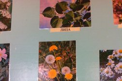 Начальная школа Средняя школа №17, с рейтингом 5 - находится по адресу Белгород, улица Крупской, 9 