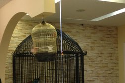 Туристическое агентство Лагуна-тур, с рейтингом 3.3 - находится по адресу Саратов, Советская улица, 90/96 