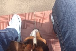 Администрация г. Владимира Отдел ЗАГС, с рейтингом 3.7 - находится по адресу Владимир, Добросельская улица, 175 