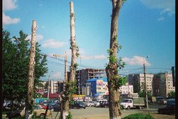 Аптека Фармленд, с рейтингом 4.3 - находится по адресу Челябинск, проспект Победы, 328 