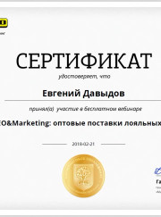 Преподаватель по программированию, веб-разработчик Евгений Д.