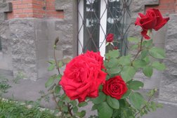 Группа компаний Инфорсер, с рейтингом 2 - находится по адресу Новосибирск, Депутатская улица, 2 