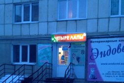 Мини-маркет зоотоваров Четыре лапки, с рейтингом 3.7 - находится по адресу Курган, улица Савельева, 42 