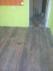 Плотник, маляр-штукатур Анастасия Геннадьевна Устюжина