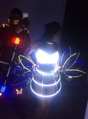 Аниматор Fire Show Original