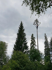 Благоустройство территории, садовник Мигель Эдуардович Лопес