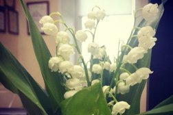 Проектно-производственная компания Креал, с рейтингом 4 - находится по адресу Санкт-Петербург, переулок Антоненко, 10 