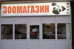 Мопс