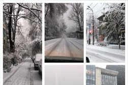 Posh cafe, с рейтингом 4.5 - находится по адресу Алматы, микрорайон Самал-3, 25 