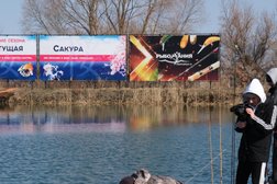 Компания по организации платной рыбалки Хрящевские пруды, с рейтингом 4.8 - находится по адресу Самарская область, с. Хрящевка, Северо-восточное шоссе 4 километр, 1 