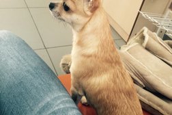 Зооцентр Кот и пес, с рейтингом 2.8 - находится по адресу Пенза, улица Воронова, 2 