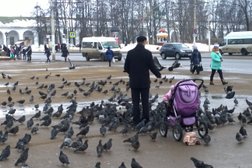 Гастробар Камелот, с рейтингом 3.3 - находится по адресу Кострома, Советская площадь, 4 