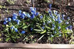 Балтымский агрокомплекс, с рейтингом 5 - находится по адресу Свердловская область, с. Балтым, Первомайская улица, 47 