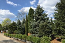 Садовый центр Imperial Garden, с рейтингом 4.6 - находится по адресу Московская область, Захарово деревня, вл1 