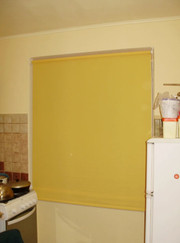 Ландшафтный дизайнер, маляр-штукатур Тарас Владимирович Шкуренко