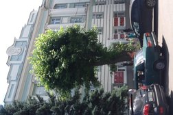 Министерство образования Тверской области, с рейтингом 3.8 - находится по адресу Тверь, площадь Михаила Тверского, 5 