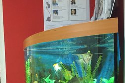 Ветеринарная клиника Академ-сервис, с рейтингом 3.5 - находится по адресу Республика Татарстан, Казань, улица Фатыха Амирхана, 23 