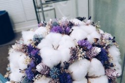 Салон массажа и эстетической косметологии Шёлк и Мёд, с рейтингом 3.5 - находится по адресу Кострома, Северной Правды, 49 