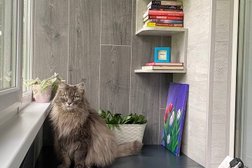 Компания КАКСВОИМ, с рейтингом 5 - находится по адресу Костромская обл, Кострома, ул Профсоюзная, д 3 к 2 