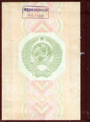 Преподаватель литературы, преподаватель русского языка Ольга Владимировна Белозёрова