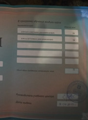 Художник Светлана Сауляк